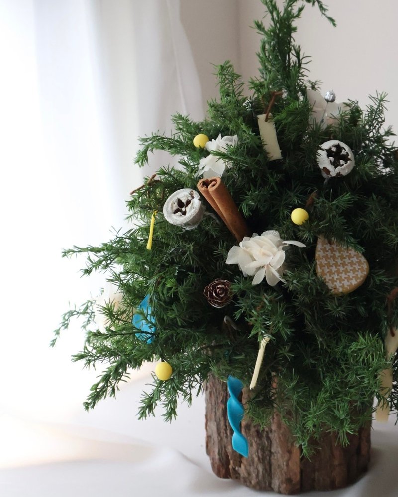 撞色圣诞树 圣诞花圈 圣诞礼物 交换礼物 圣诞布置 - 干燥花/捧花 - 植物．花 多色