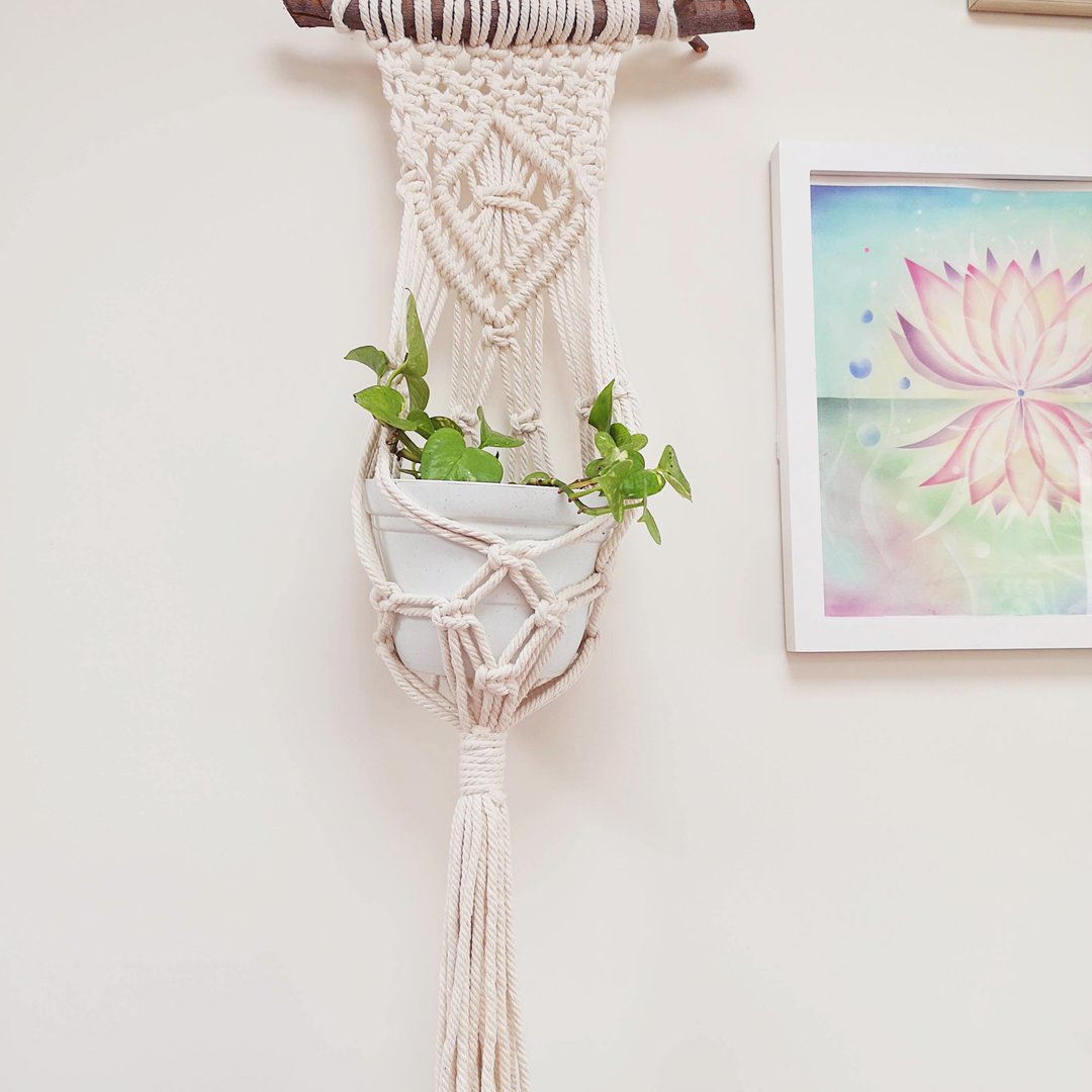 Macrame 植物吊篮【Macrame Plant Hanger】 - 摆饰 - 棉 