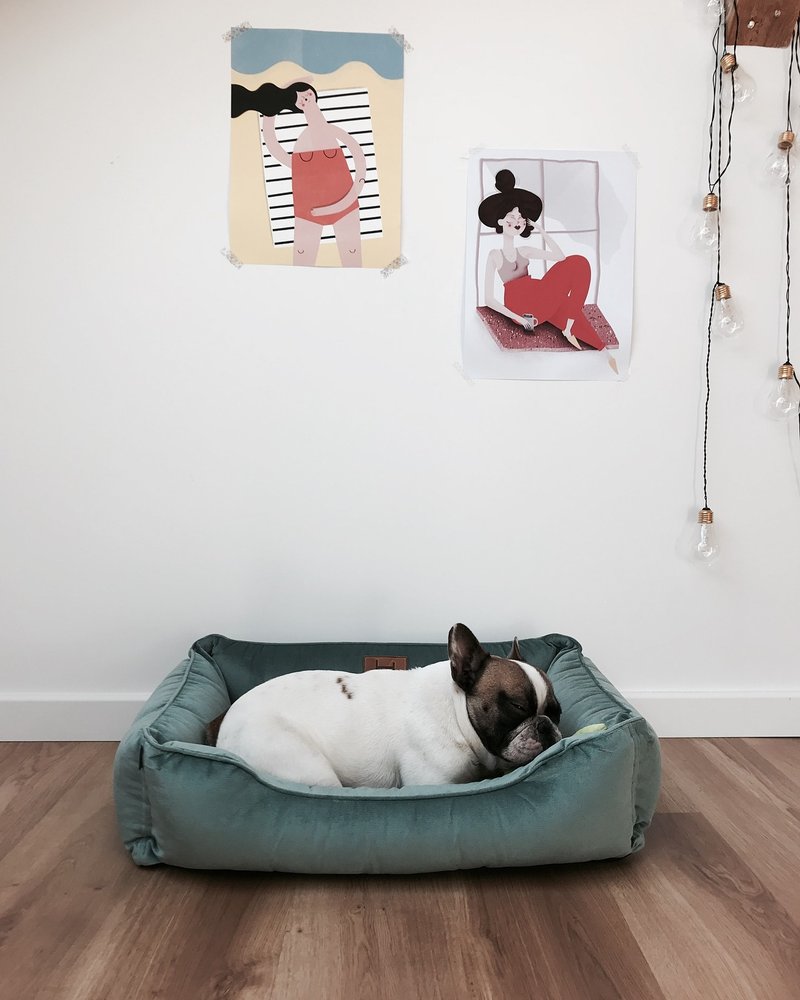 Pet bed Turquoise velour mat for small dog S Size 60x45 cm - 床垫/笼子 - 其他材质 蓝色