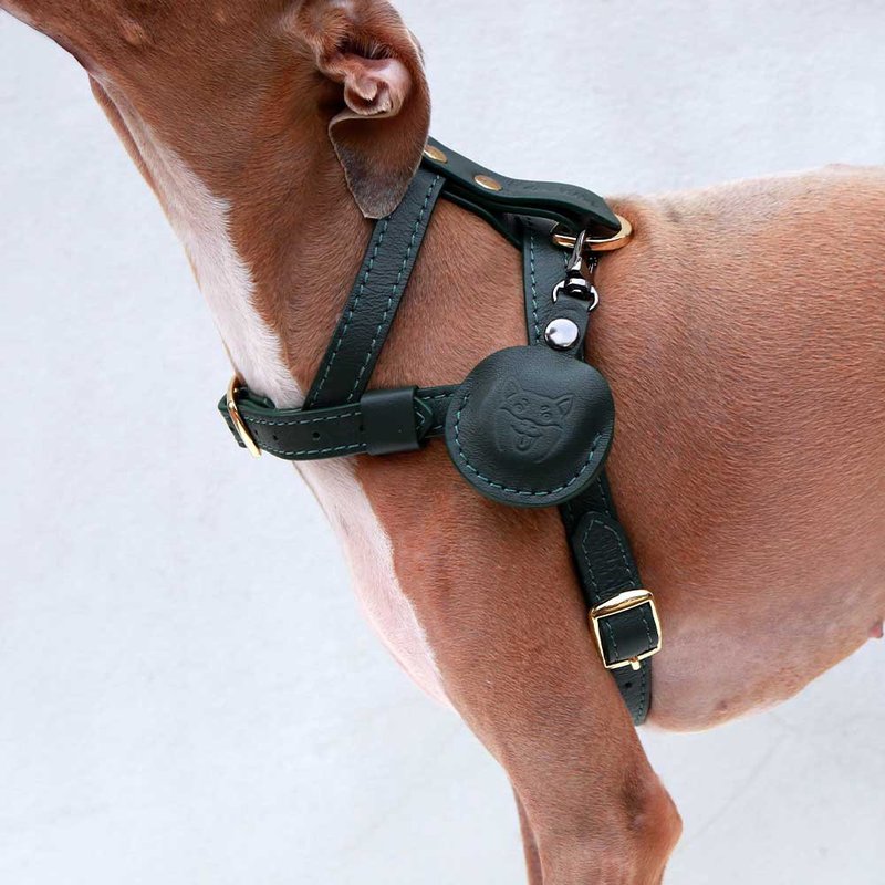 Apple Air Tag 宠物钥匙圈盒，真皮软皮，刻有姓名、号码、追踪狗、猫。 - 项圈/牵绳 - 真皮 黑色