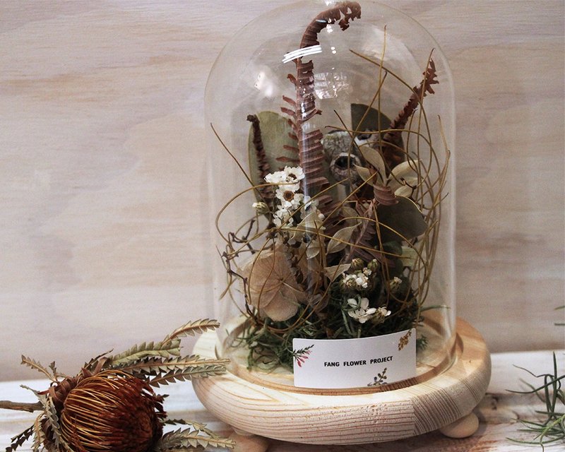 木质灰调 玻璃钟罩花-法国白梅尤加利果佐藤蔓 - 干燥花/捧花 - 植物．花 灰色