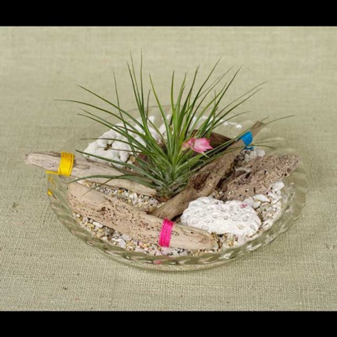 Let's make it: Driftwood mobile using driftwood materials, Driftwood hanger, Nat - 摆饰 - 木头 咖啡色