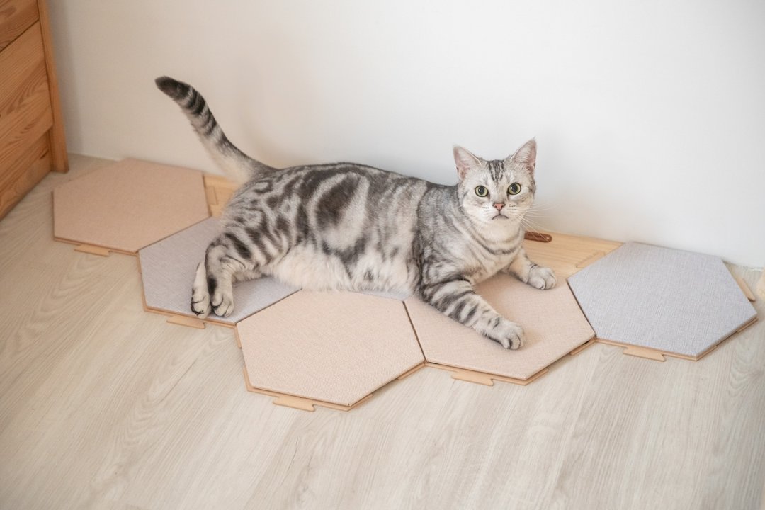 六角猫抓板 / 地垫 / 壁饰 - 抓板/跳台 - 木头 咖啡色