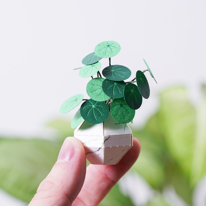 【纸植栽 DIY材料包 S】 铜钱草 | 9028402 纸风景 - 木工/竹艺/纸艺 - 纸 绿色