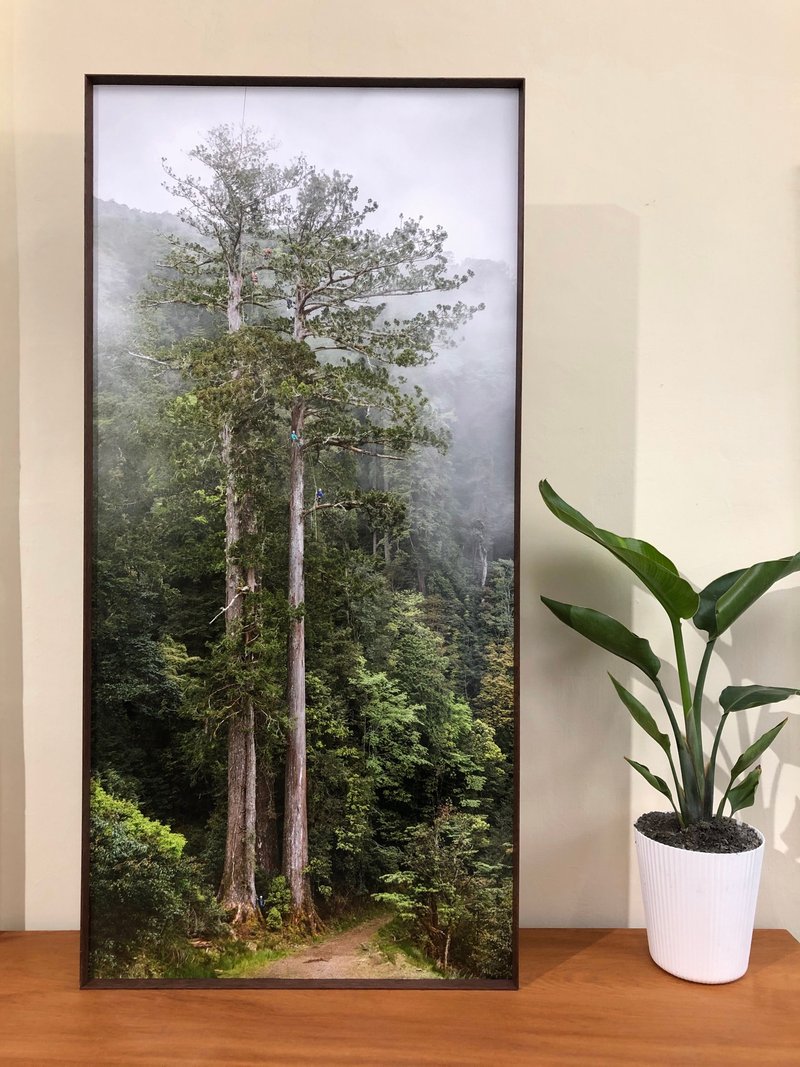 【台湾杉 / 艺术相纸 / 铝框裱褙】撞到月亮的树 - 海报/装饰画/版画 - 纸 