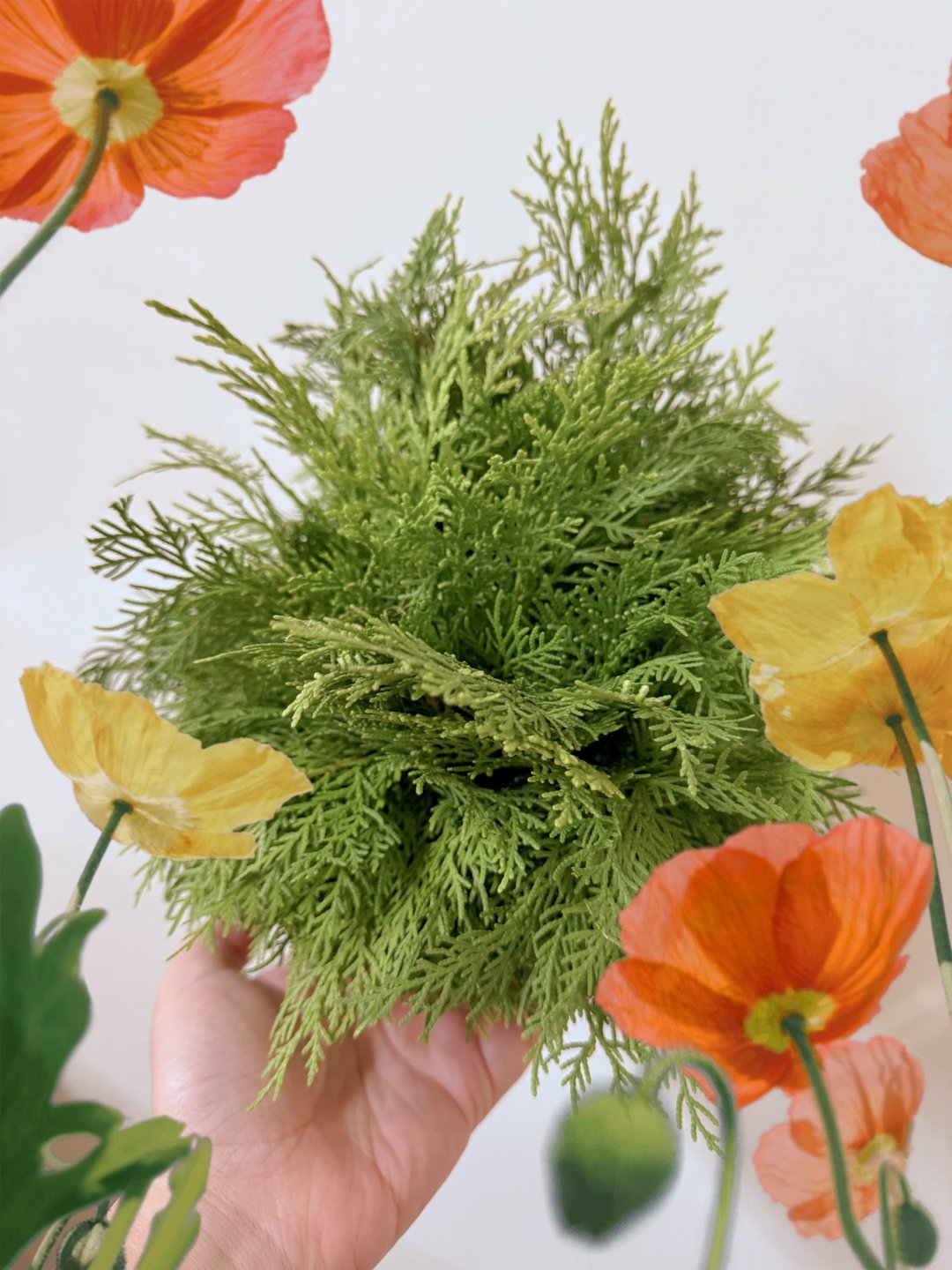 花园哩趣 DAILY GARDEN 新鲜扁柏迷你圣诞树 - 干燥花/捧花 - 植物．花 绿色