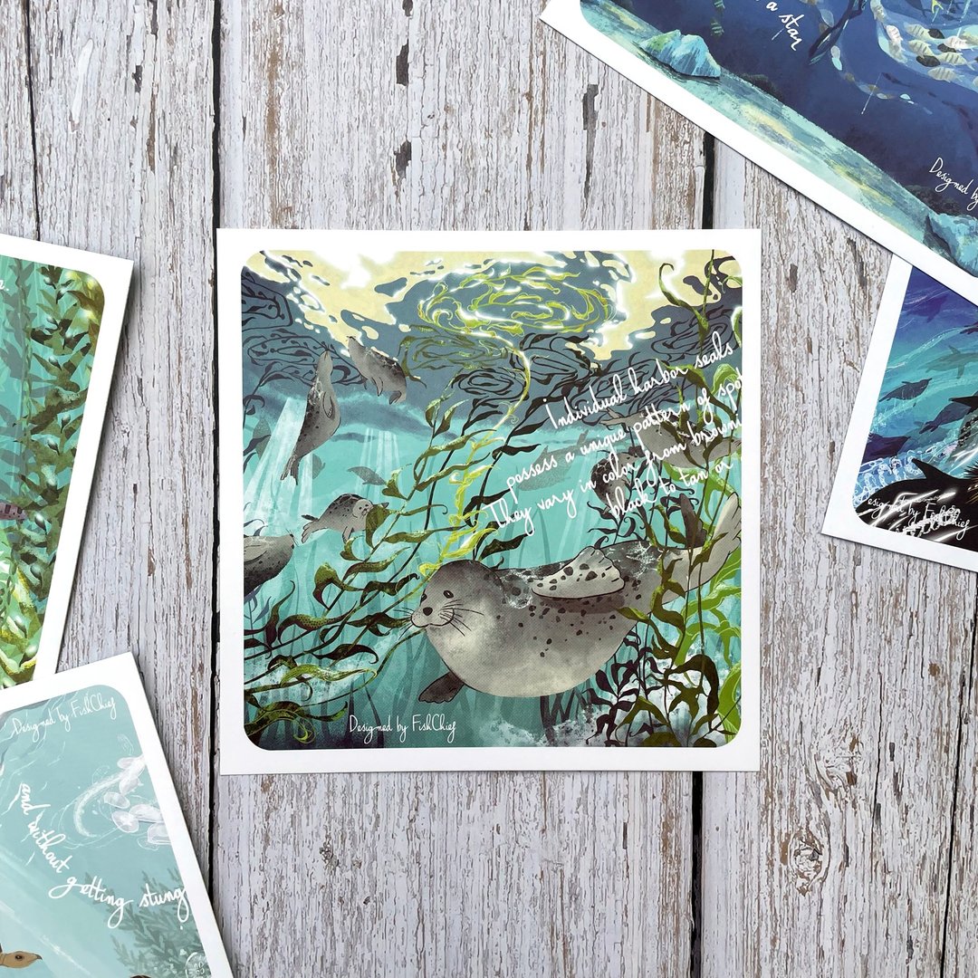 港湾海豹 方框框明信片 - 卡片/明信片 - 纸 