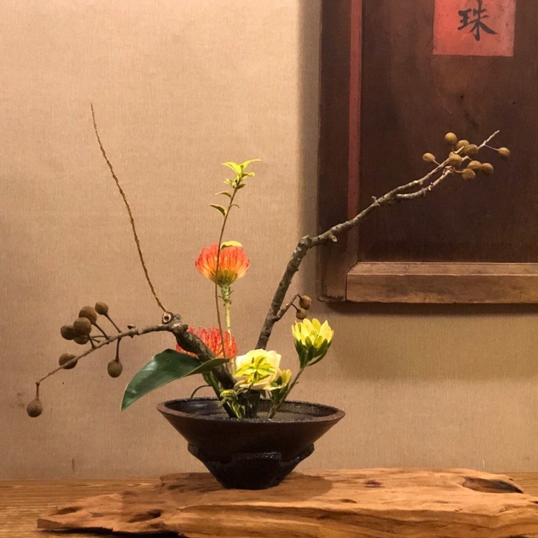 【植日生周记】枯景艺术花艺课程-限额四名 - 植栽 - 植物．花 