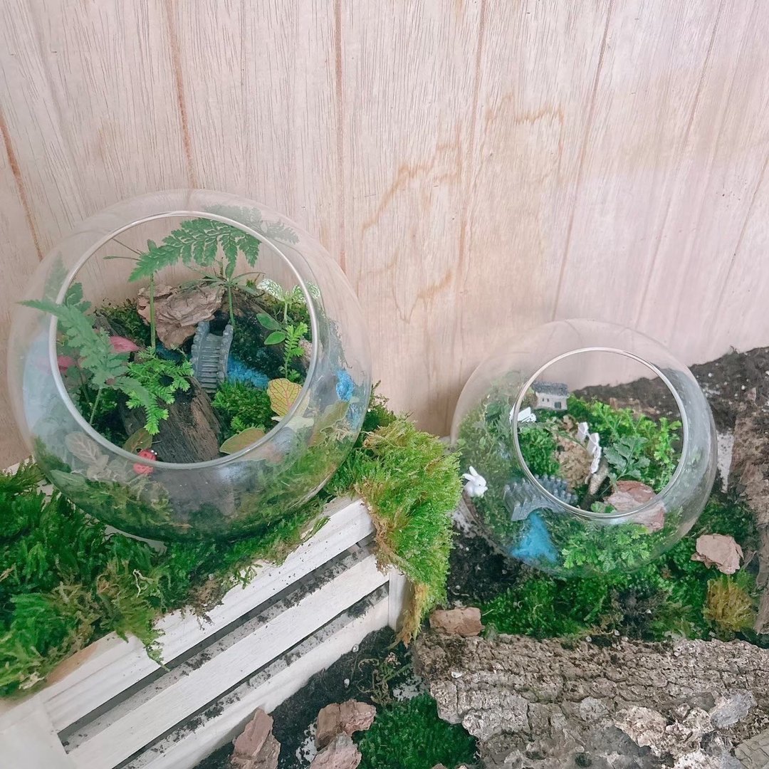 | 桃园青埔 | 企业教学 联名合作 绿沐-手作植栽-生态瓶 - 植栽 - 植物．花 