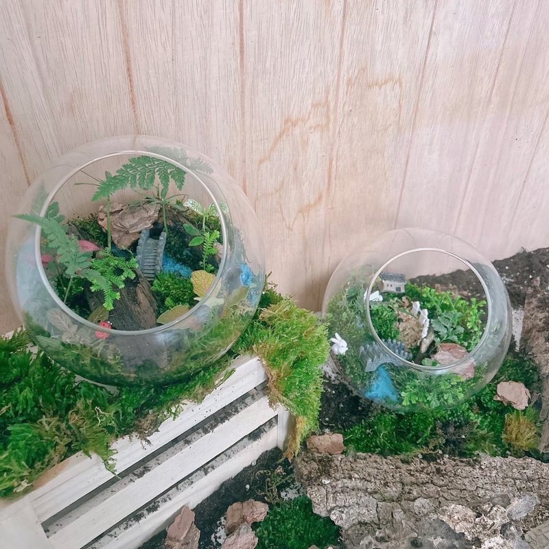 | 桃园青埔 | 企业教学 联名合作 绿沐-手作植栽-生态瓶 - 植栽 - 植物．花 