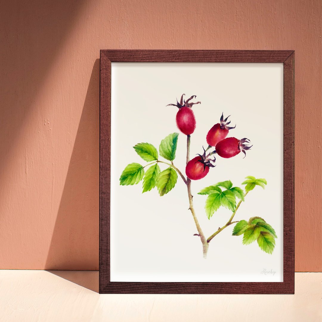 KITCHEN GARDEN 厨房餐厅挂画 植物水彩复制画 蔷薇果装饰画 - 海报/装饰画/版画 - 纸 多色