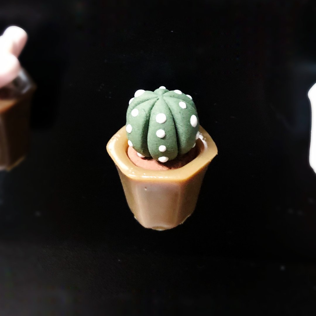 Q版多肉植物花盆磁石 - 冰箱贴/磁贴 - 粘土 