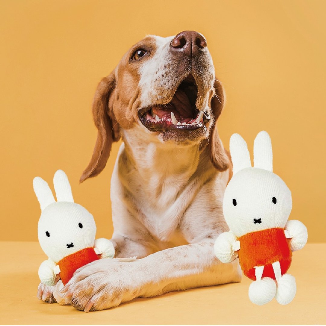 【MIFFYx株式会社スリーアローズ】米飞针织咬咬玩具 宠物玩具 - 玩具 - 棉．麻 
