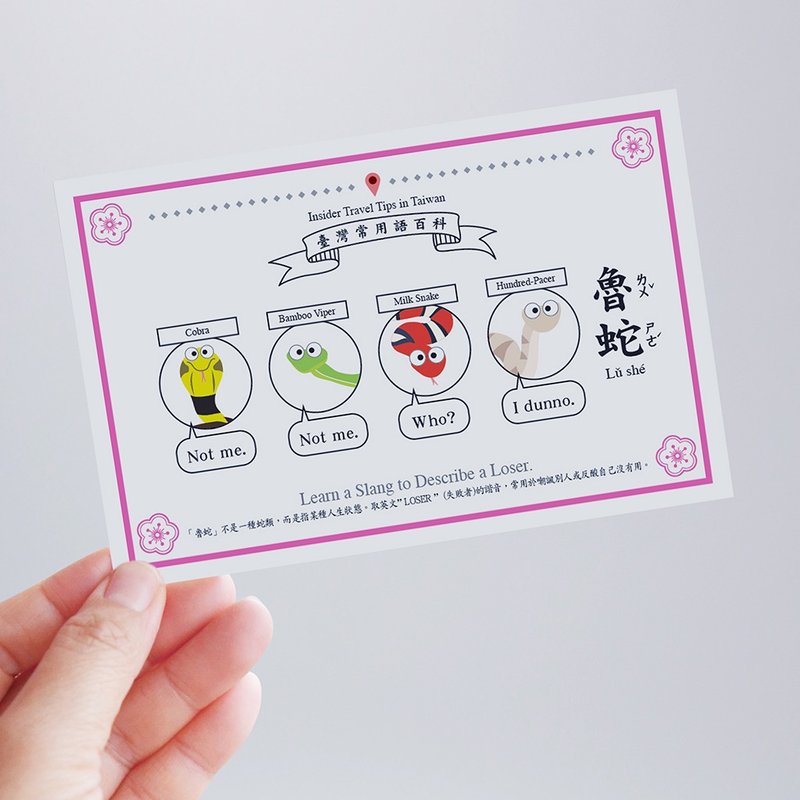 台湾百科－白目明信片 鲁蛇篇 文化 旅行 旅游 冷知识 - 卡片/明信片 - 纸 