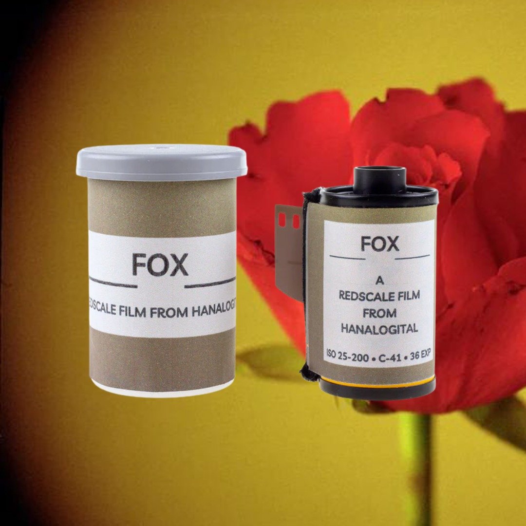 【Hanalogital】FOX 200度 36张 彩色负片菲林 | 特效菲林 - 相机 - 其他材质 