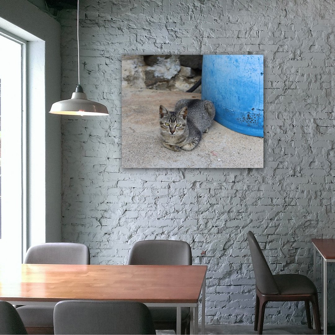 无框复制画 | 午后时光/猫A0050 | K艺术家 - 海报/装饰画/版画 - 其他材质 多色