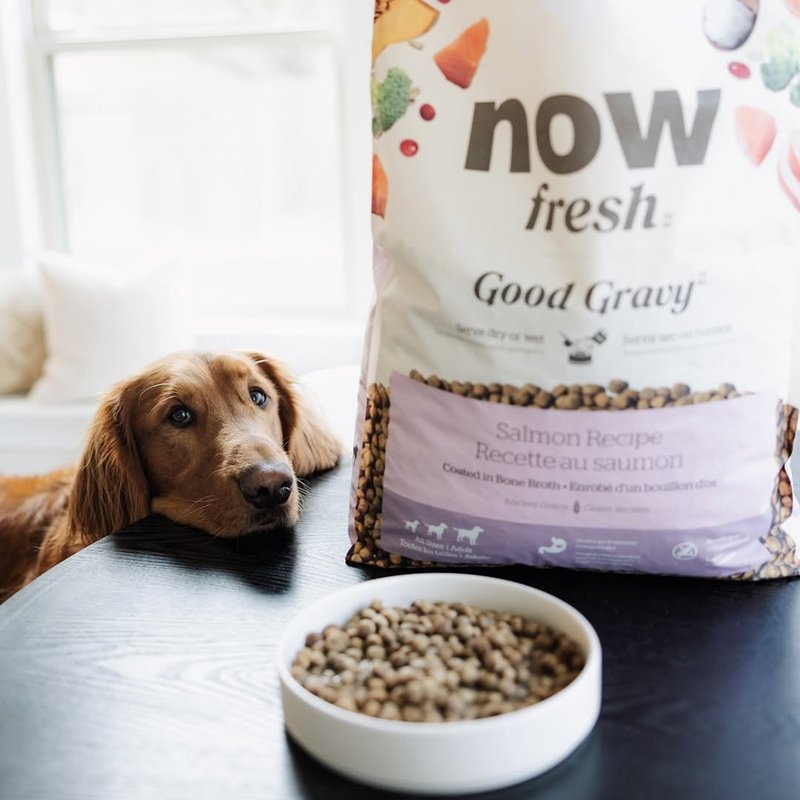 【狗主食】now 鲑鱼 中型成犬 高汤天然粮 干湿两吃 狗饲料 狗粮 - 狗罐头/鲜食 - 新鲜食材 