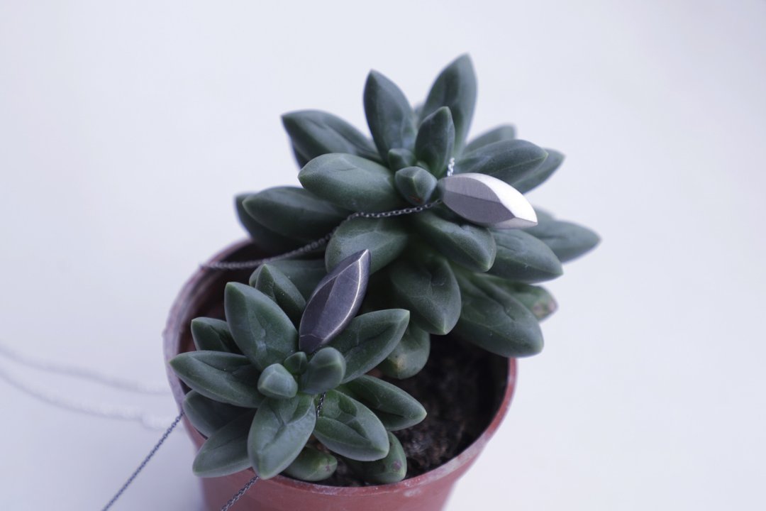 Succulents silver pendant - 项链 - 纯银 