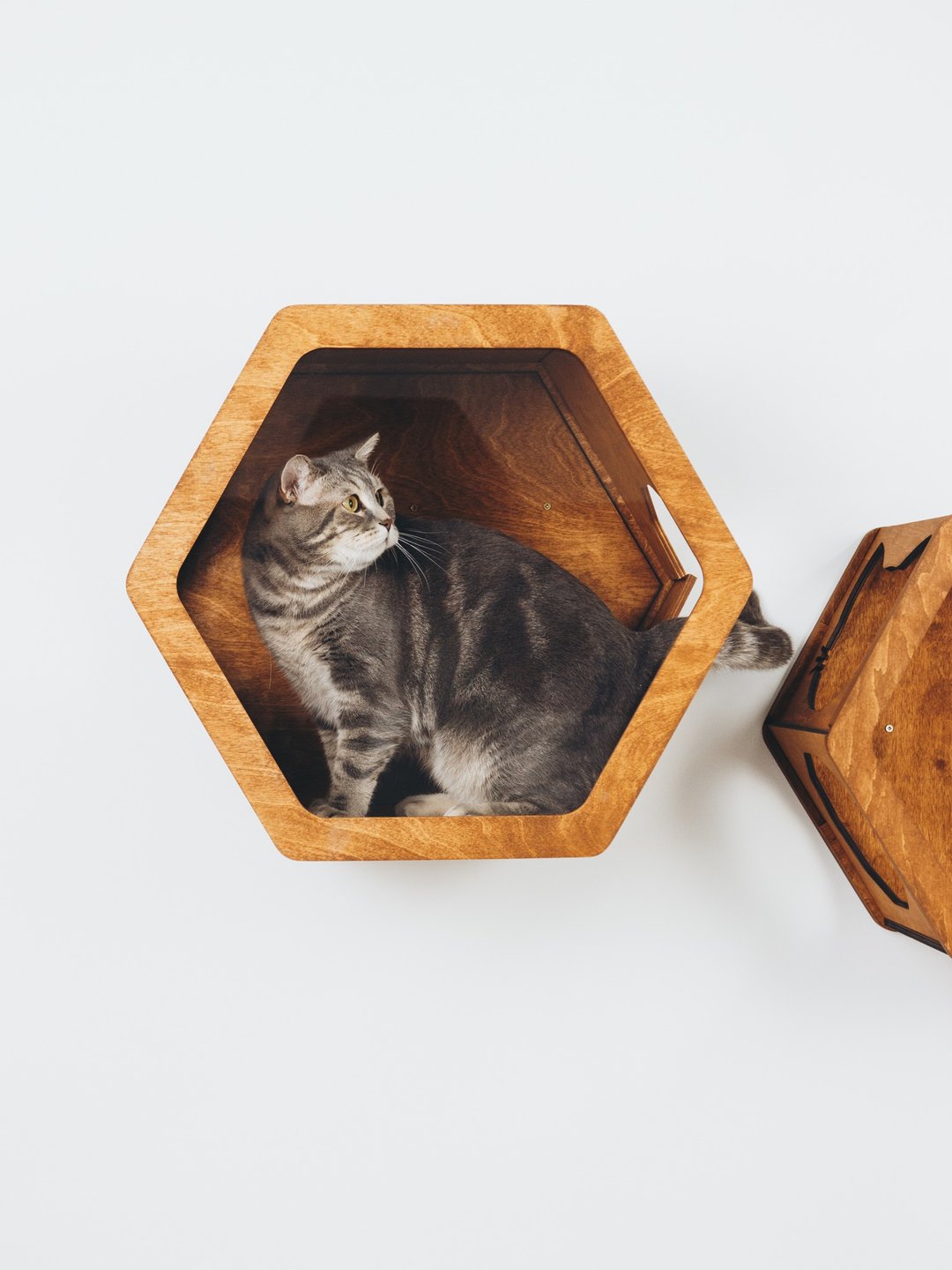 Handmade Cat Hexagon Shelves, Wood Wall Furniture for Cats, Kitten Owner Gift - 抓板/跳台 - 木头 咖啡色