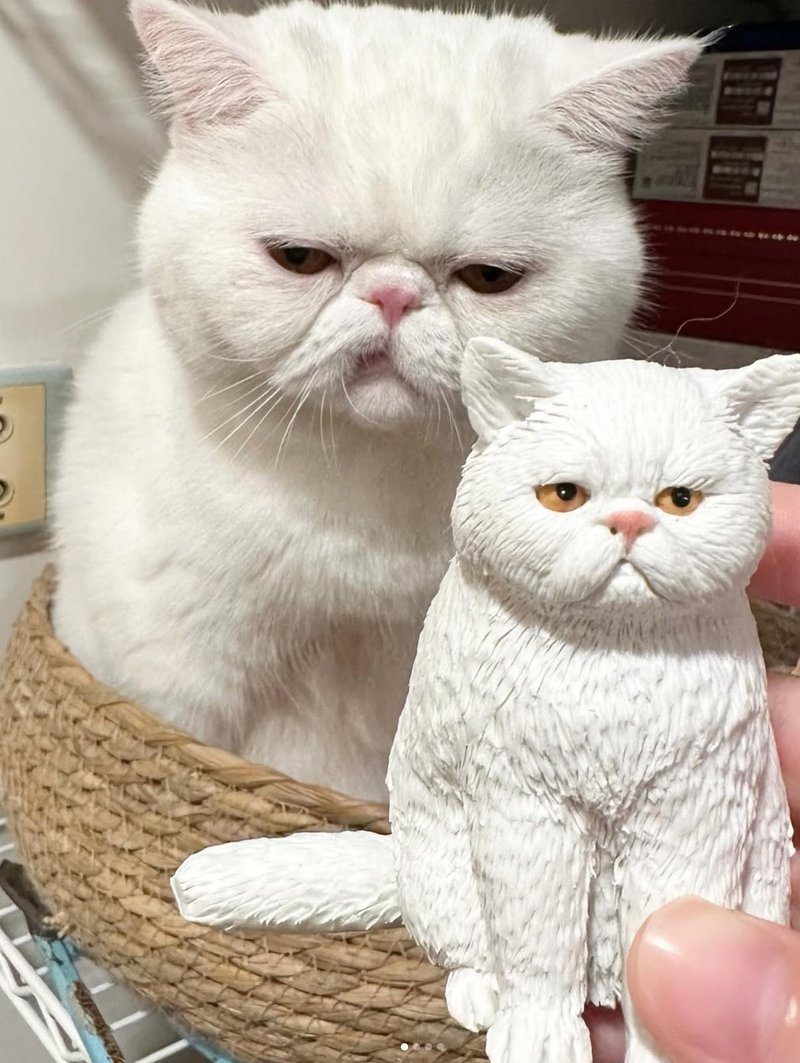 【宠物毛孩纪念礼物】 7cm | 猫咪 狗狗 兔子 定制化毛孩摆设 - 订制抱枕/饰品 - 粘土 多色