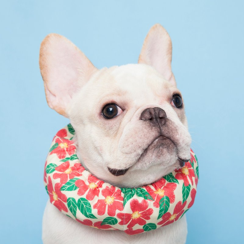 犬比花娇沁凉巾 凉凉巾 法斗 毛孩 狗狗 降温围脖-黄底 - 衣/帽 - 棉．麻 黄色