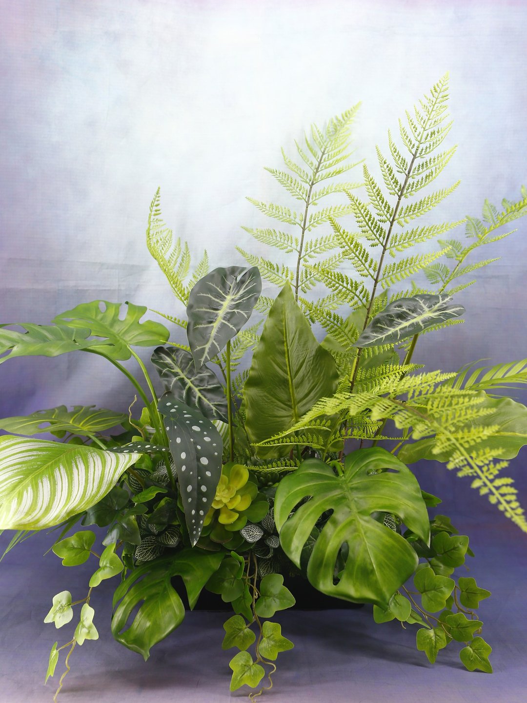 森林系植物组合香氛植栽 包邮专人配送限双北市 其余地区需补运费 - 植栽/盆栽 - 其他材质 绿色