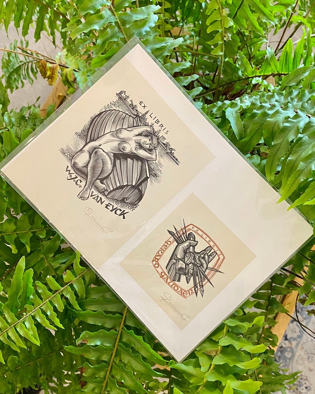 比利时艺术家 GAUDAEN, Gerard - Ex-libris - 藏书票 - 版画 - 海报/装饰画/版画 - 纸 白色