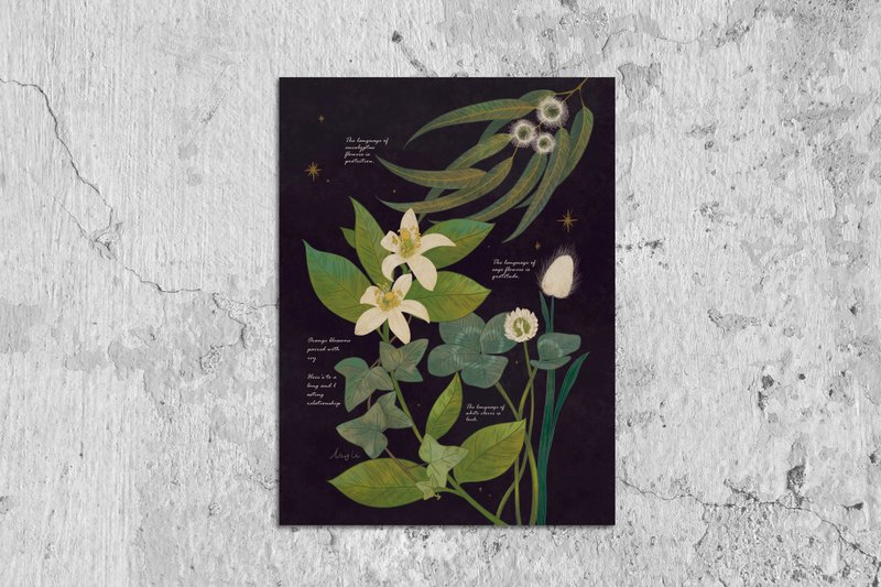 复制画-花的呢喃图鉴/海报/挂画/家饰 - 海报/装饰画/版画 - 纸 