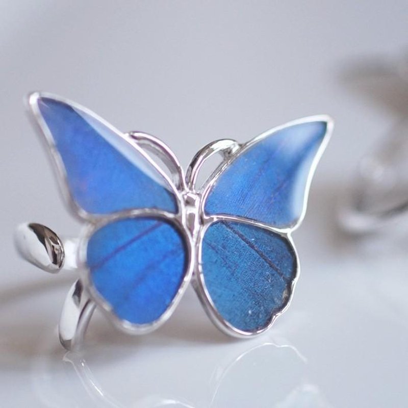 Morpho butterfly Silver ring - 戒指 - 纯银 蓝色