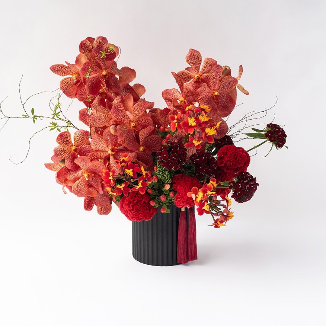 【锦绣】春节盆花 / 双北限定 - 干燥花/捧花 - 植物．花 红色