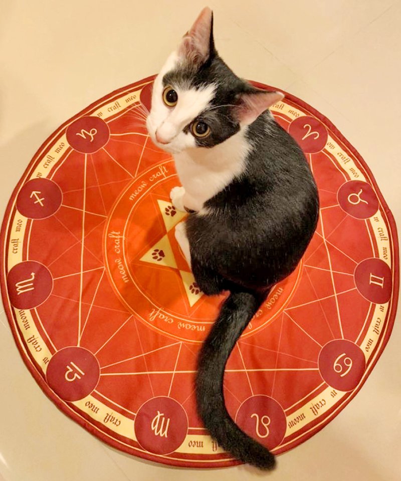 魔法召唤阵 宠物垫 猫草垫 猫草 猫奴 - 床垫/笼子 - 其他材质 