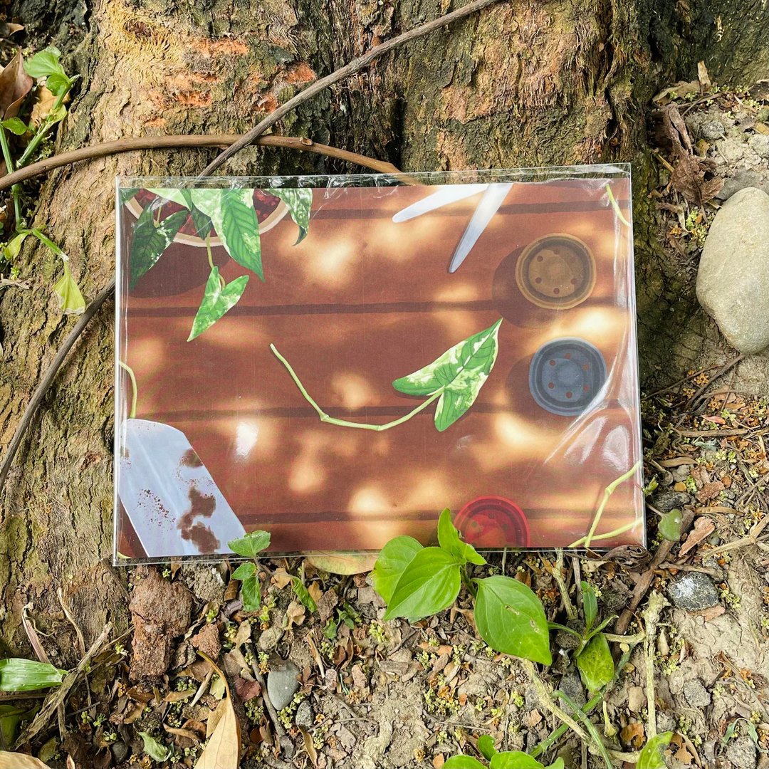 观叶植物 插画明信片│斑叶合果芋 - 卡片/明信片 - 纸 咖啡色
