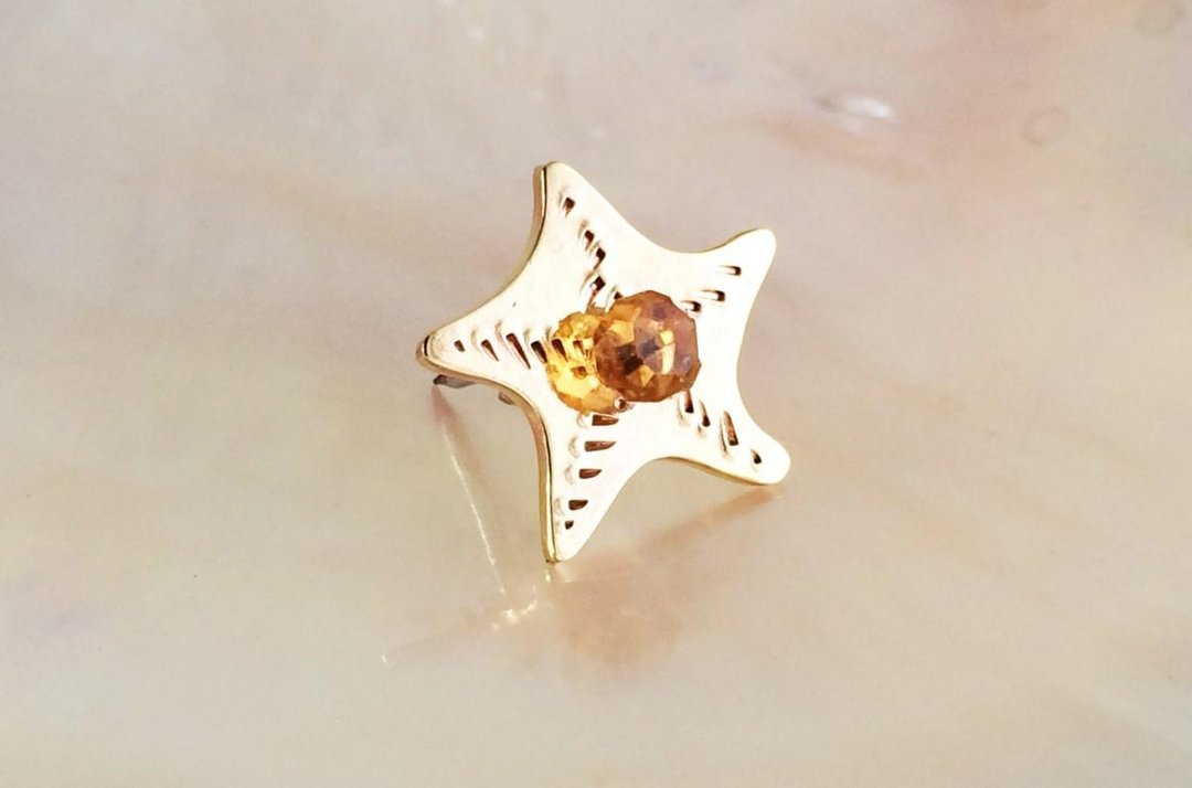 Starfish Baby ☆ Citrine Brass Pins - 胸针 - 其他金属 