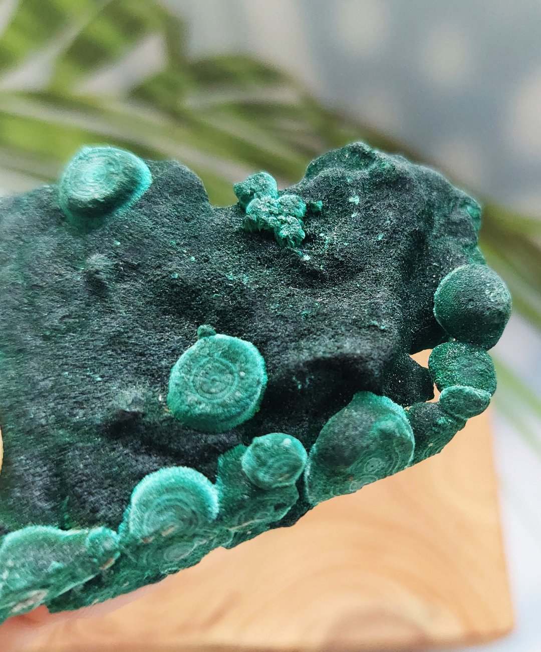 Malachite  刚果产地 丝绒 孔雀石 天然矿石 原矿 - 摆饰 - 其他材质 