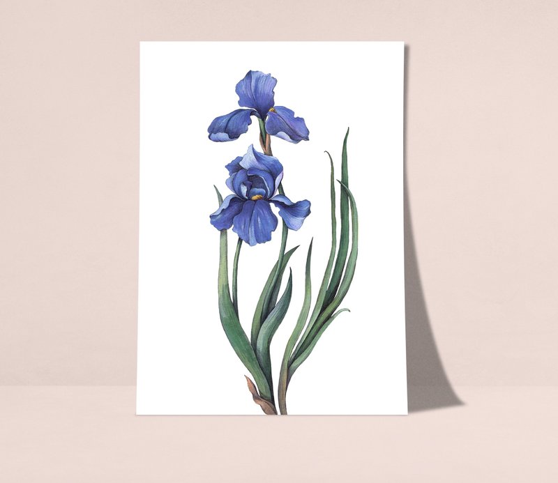 鸢尾花海报数码 JPEG 可打印墙面画廊墙面艺术鸢尾花印刷品 - 电子手绘真人画像/绘画/插画 - 其他材质 