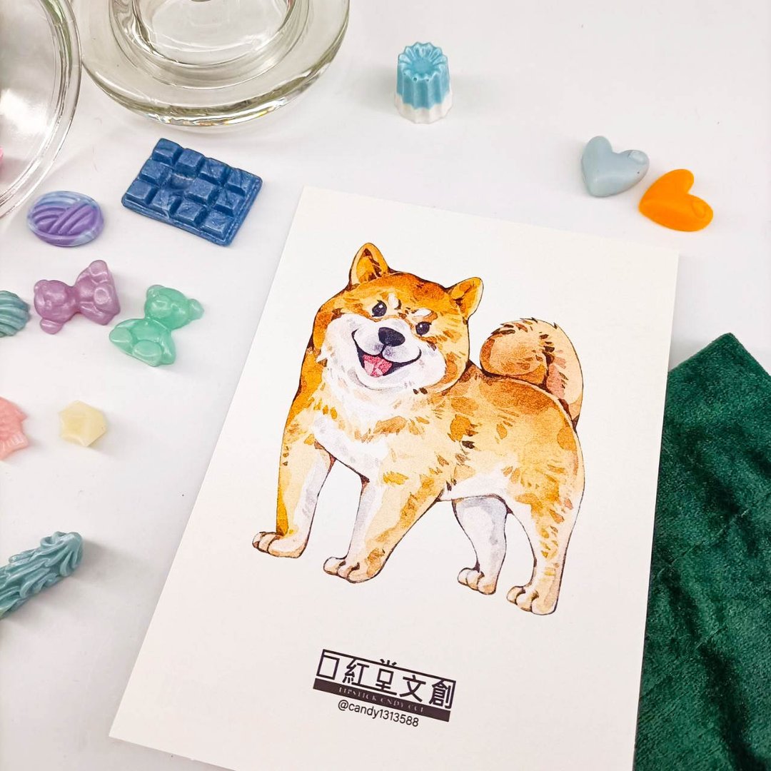 KR474_口紅堂明信片_柴犬5_candy1313588 postcard - 卡片/明信片 - 纸 多色