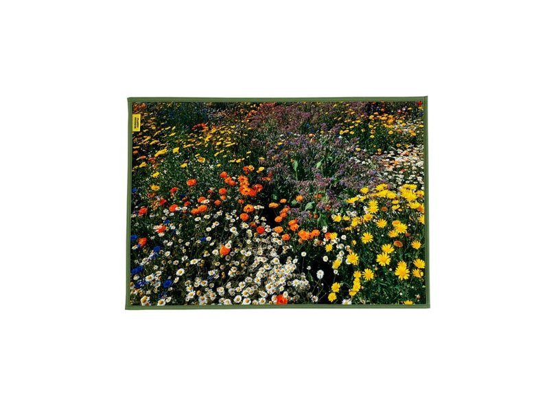 Secret Garden 秘境花园 脚踏垫 (日本国内限定贩售) - 地垫/地毯 - 其他材质 绿色