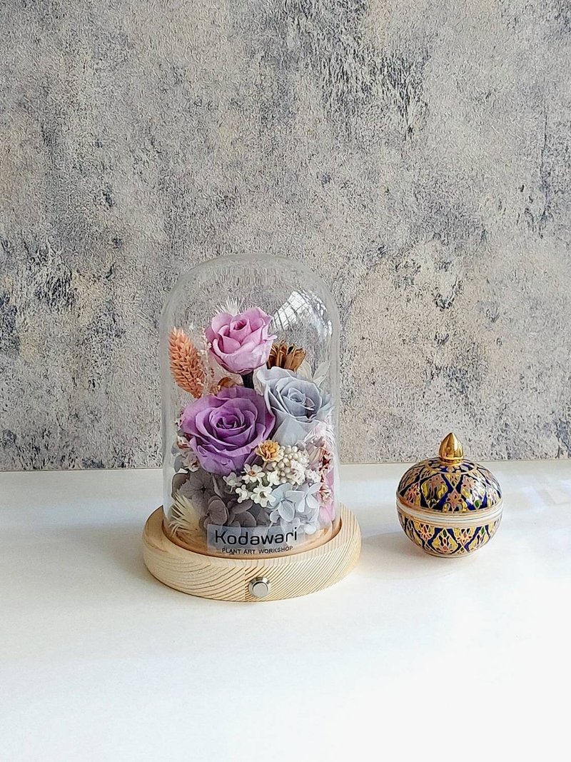 永生花玻璃罩.花盅小夜灯 祝贺花礼 生日.圣诞节.升迁.卡扣式 - 干燥花/捧花 - 植物．花 