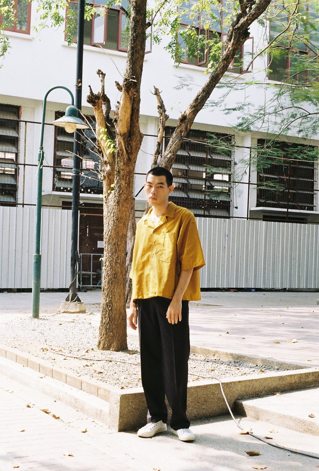 Open collar shirt (Mustard) - 男装衬衫 - 棉 黄色