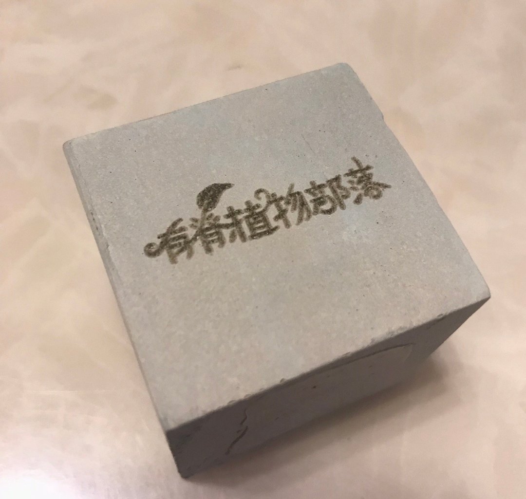 Kerry lin定制订单 - 植栽/盆栽 - 水泥 
