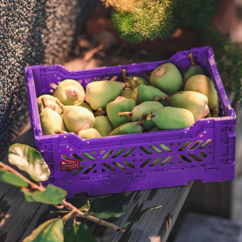 土耳其Aykasa折叠收纳篮(S)-奢华紫 - 收纳用品 - 塑料 紫色