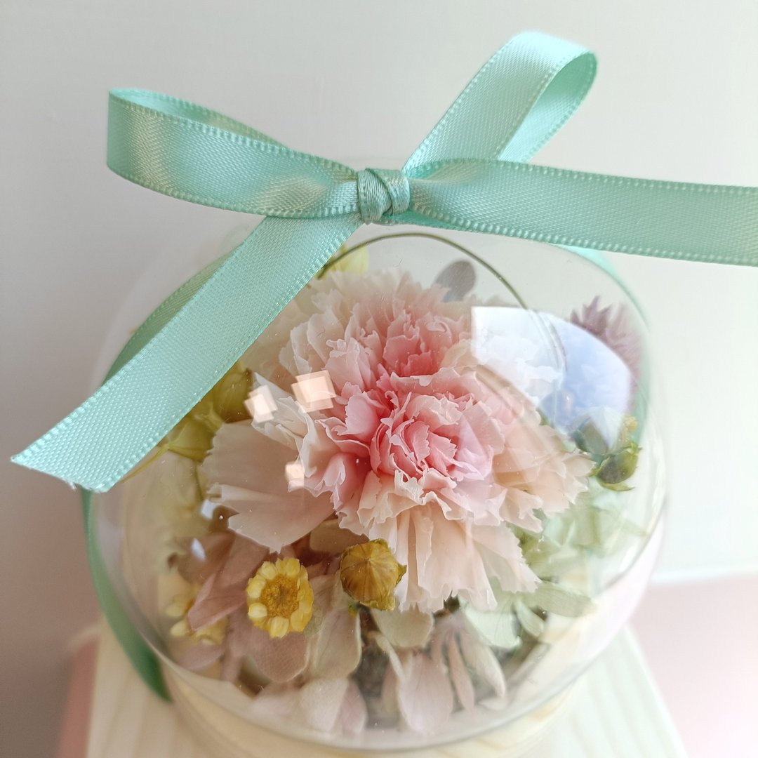 永生康乃馨玫瑰玻璃盅罩|结婚捧花永生干燥花毕业花束生日礼物七 - 干燥花/捧花 - 植物．花 粉红色