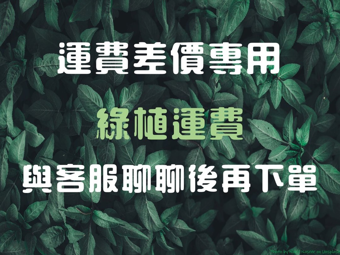 补运费商品 - 运费差价专区_绿植运费 下单前请先聊聊 - 非实体商品 - 其他材质 