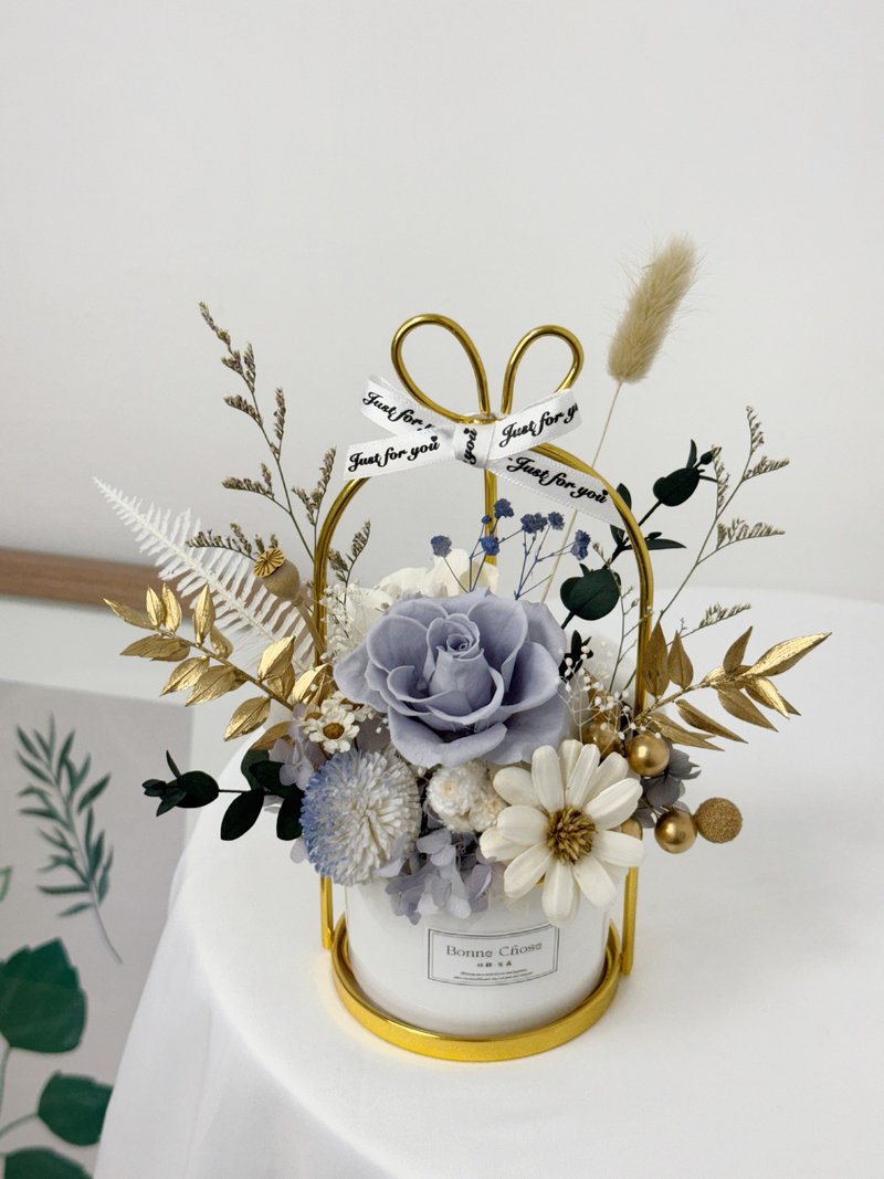 永生祝贺盆花/精美包装及贺卡/开幕礼/入厝礼/新居落成/升迁礼 - 摆饰 - 植物．花 多色