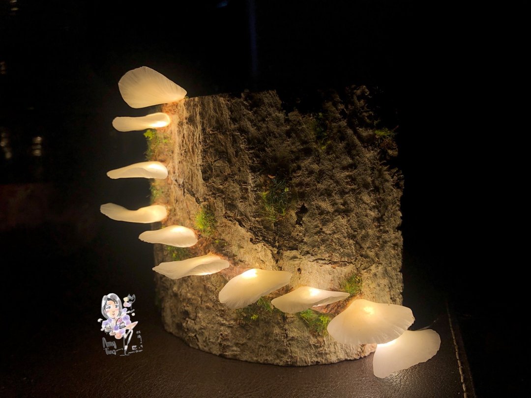 菇菇造型灯 - 其他 - 粘土 