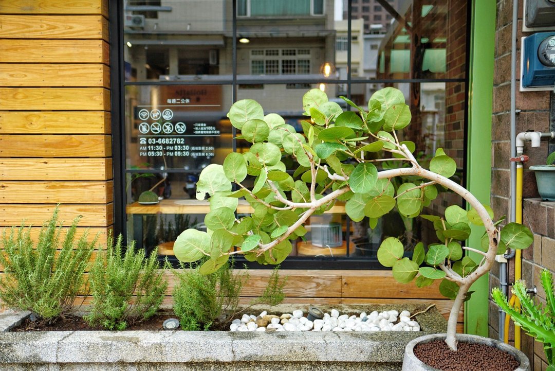 【空间绿化设计案】义式餐馆 | 地中海风格 - 植栽/盆栽 - 植物．花 