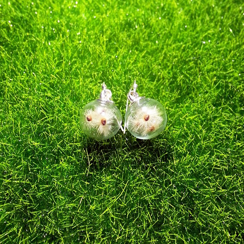 925纯银毛毛种子玻璃球耳环(可改耳夹、耳针式) - 耳环/耳夹 - 植物．花 透明