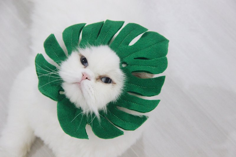 Monstera costume for cats and small dogs - 衣/帽 - 其他材质 