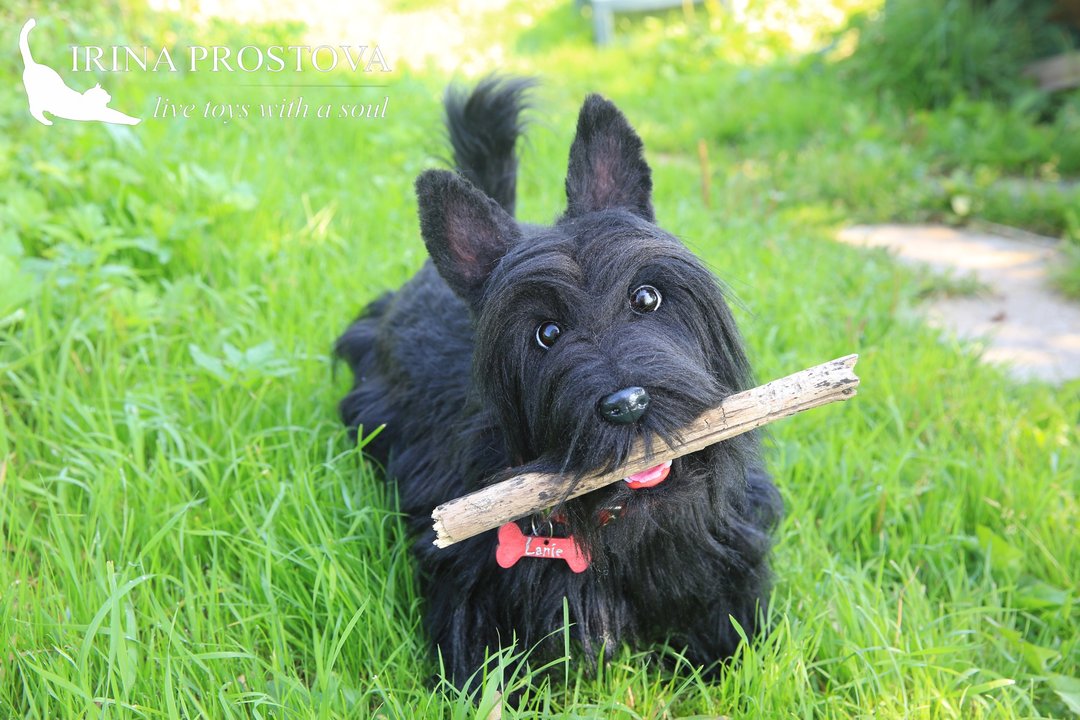 Scottish Terrier realistic plush toy - 玩偶/公仔 - 其他材质 黑色