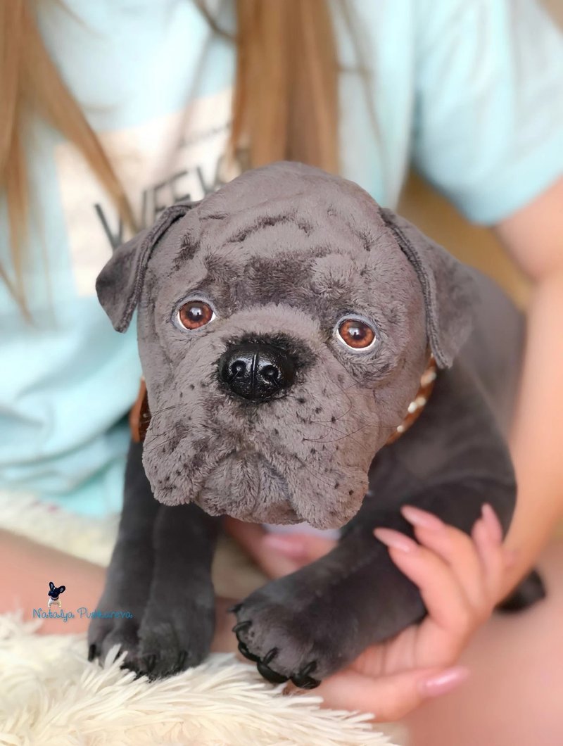 灰色 Cane Corso 狗逼真的毛绒玩具 - 玩偶/公仔 - 聚酯纤维 灰色